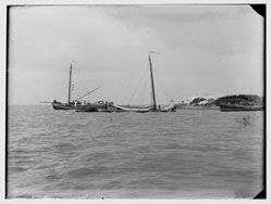 Pampus, foto Jacob Olie, 1890 Pampus, foto Jacob Olie, 1890